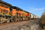 BNSF 8389 Roster shot